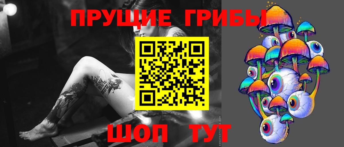 Псилоцибиновые грибы MAGIC MUSHROOMS  Вход с VPN  Псилоцибиновые грибы прущие грибы  Чапаевск 